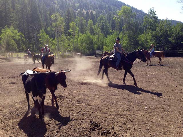 Adults Only Weeks - Triple J Wilderness Ranch, Augusta, Montana Other Activities