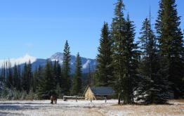Homesteader Cabin Interior - Triple J Wilderness Ranch, Augusta, Montana Contact Us About Our Hunting Trips